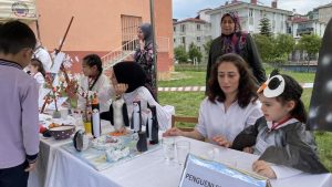 Sinop’un Ayancık ilçesinde Bilim Şenliği düzenlendi. İl Milli Eğitim Müdürlüğü