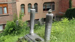 Sinop’un Ayancık ilçesinde Osmanlı dönemime ait mezarlar incelendi. Ayancık Kaymakamlığınca