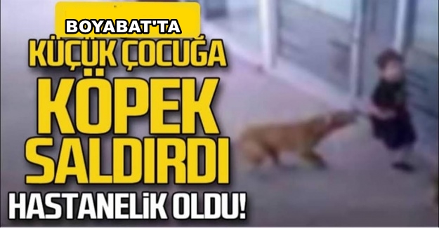 Boyabat Kalebağı'nda 6 yaşındaki minik çocuğu Köpek başından ve kalçasından