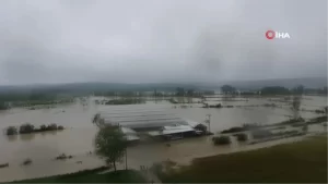 Sinop'ta etkili olan sağanak yağış sonucu oluşan sel, çeltik tarlalarını