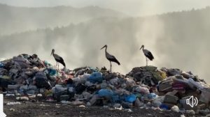 Büyüyemeyen, kirlenen Boyabat Bir çoğumuzun doğup büyüdüğü doyduğu şehir Bir