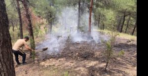 Boyabat'ta Ormana Düşen Yıldırım Yangın Çıkardı Boyabat'ta  yıldırım düşmesi sonucu