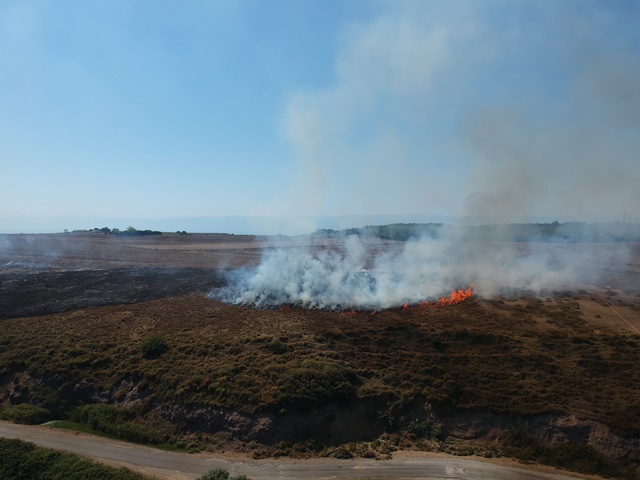 Sinop Ada Burnu mevkiinde henüz bilinmeyen nedenle örtü yangını çıktı.