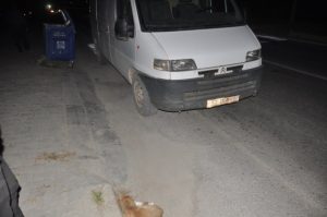 Başıboş sokak hayvanları Boyabat'ta trafiği tehlikeye düşürmeye devam ederken, kazaya