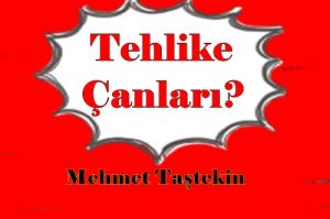 Elbetteki bu düşünce beni bağlar ve benim fikrim. Ben şahsım