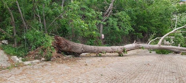 Metrolojisinin uyarıları sonrası Boyabat'ta yaşanan fırtınanın etkisiyle ilçenin bazı noktalarında