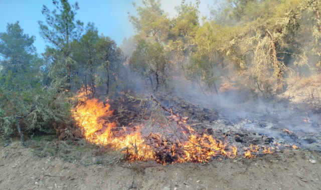  Boyabat Göve Köyü Korucuk bölgesinde çıkan orman yangınında 5 hektarlık