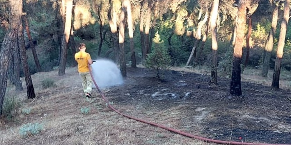 Bugün öğlen saatlerinde Boyabat İlçe Milli Eğitim Müdürlüğü yan tarafında