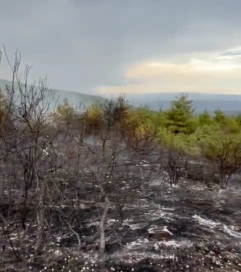 Saat 14.30 sıralarında başlayan gök gürültülü  fırtınanın ardından sağanak yakışla