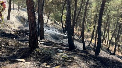 Bugün öğlen saatlerinde Boyabat Stadyumu üst kısmında bulunan ormanlık alanda