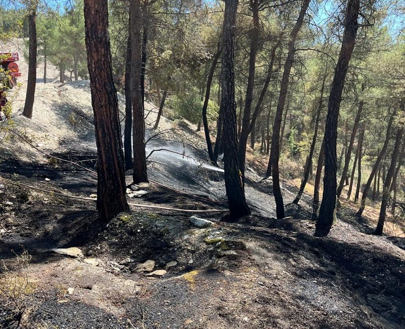 Bugün öğlen saatlerinde Boyabat Stadyumu üst kısmında bulunan ormanlık alanda