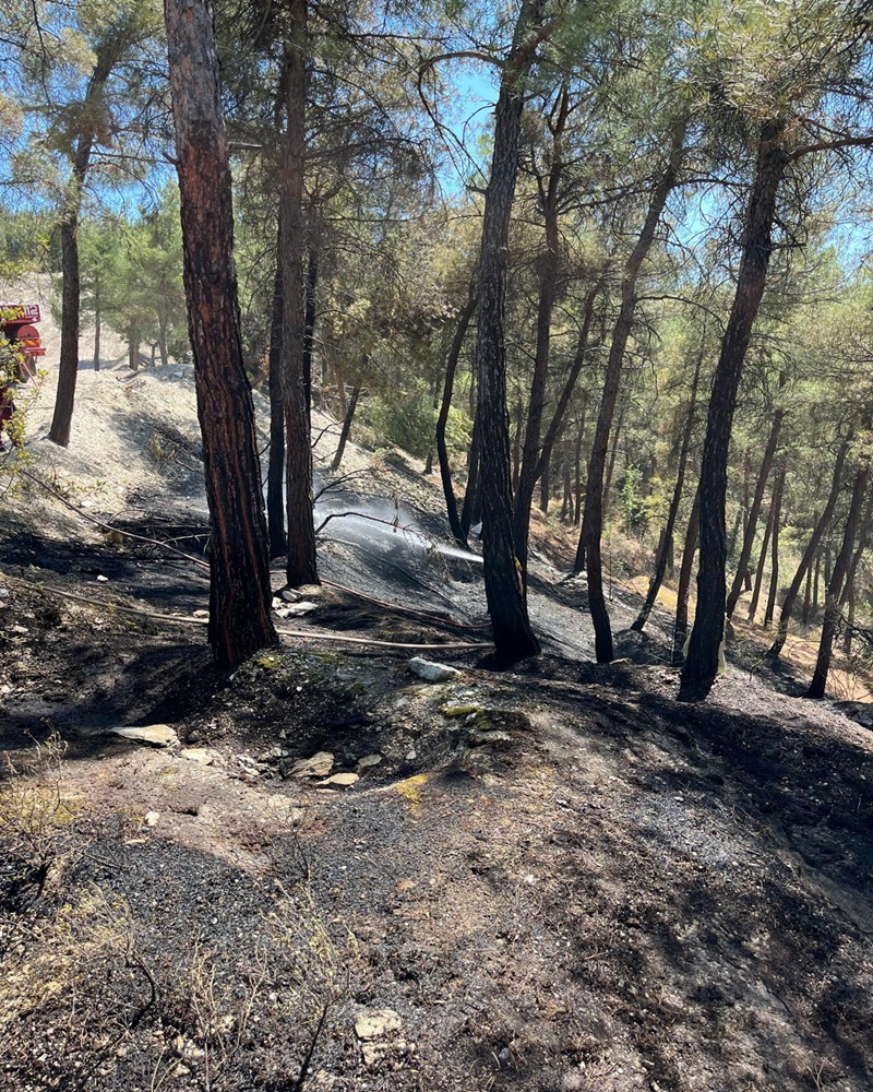 Bugün öğlen saatlerinde Boyabat Stadyumu üst kısmında bulunan ormanlık alanda