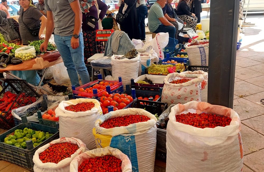 09 Eylül 2024 Pazartesi Boyabat hal yerinde yerli ürünler yine