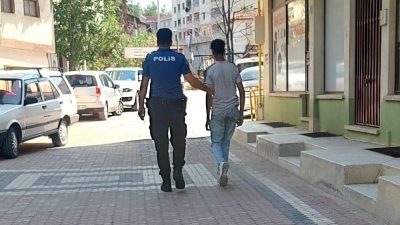 Boyabat ilçesinde meydana gelen ilginç bir olayda, park halindeki araçların