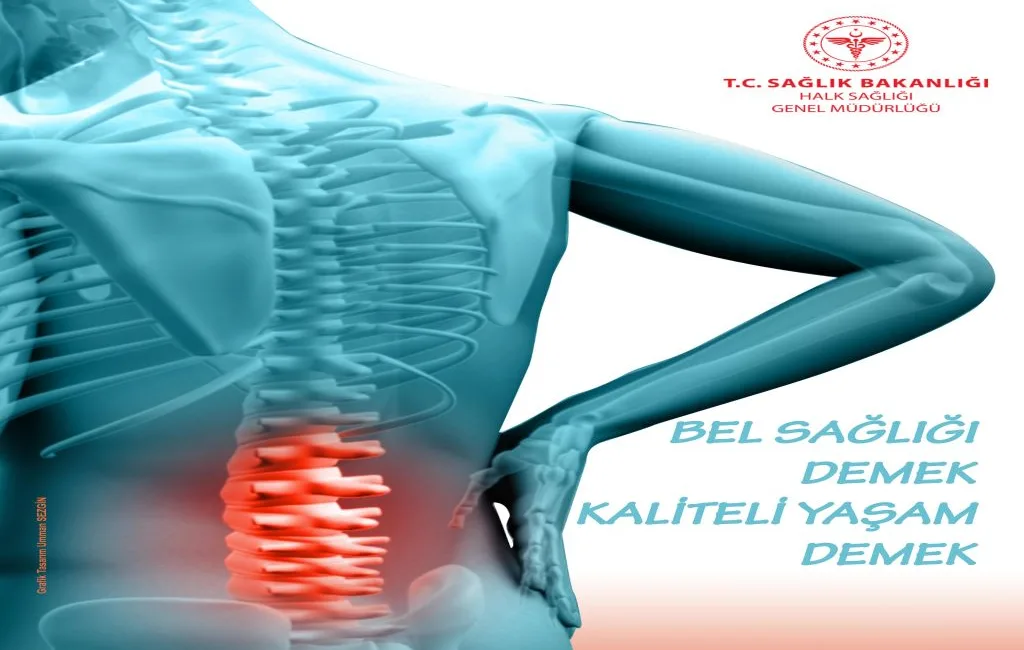 Boyabat İlçe Sağlık Müdürlüğü Dünya Artrit Günü Basın Sinop İl