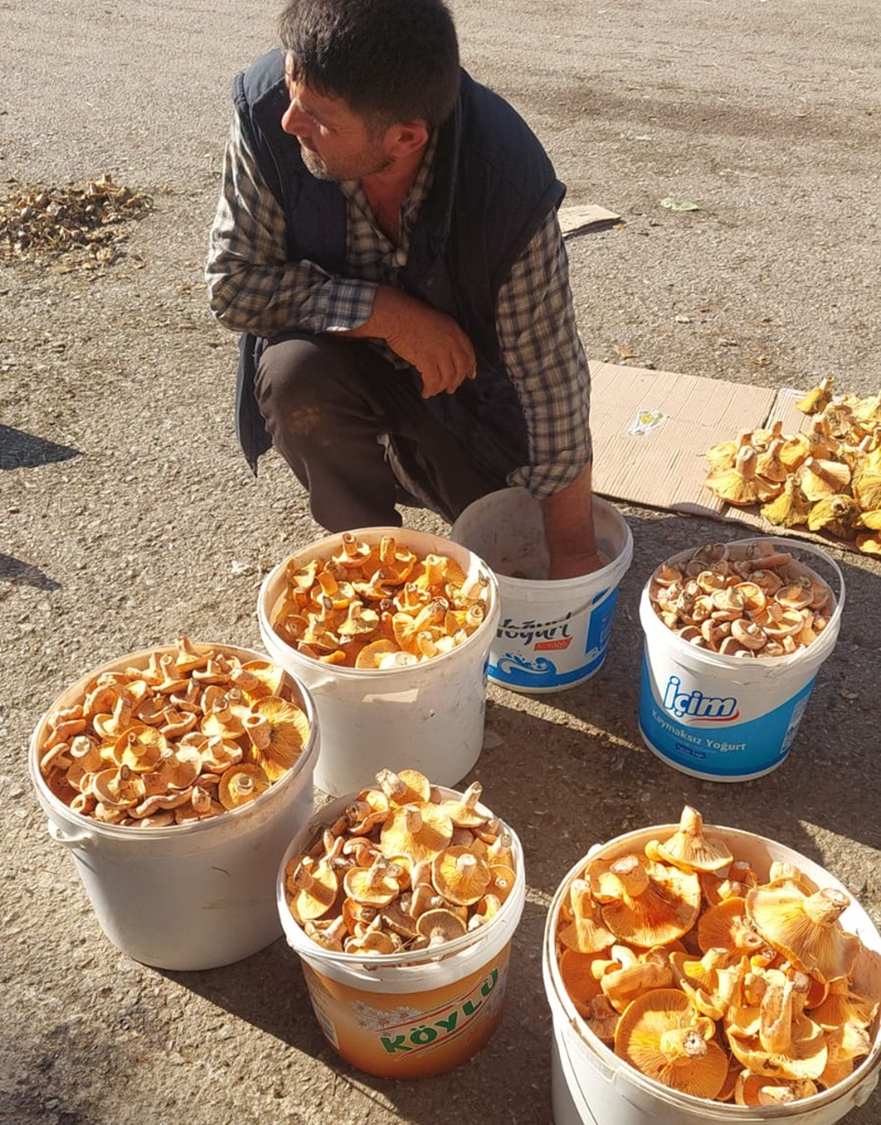Geçtiğimiz günlerde bölgeyi etkisi altına alan yoğun yağışların ardından Boyabat'ta