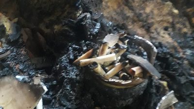 Sinop'ta korkutan bir olay yaşandı! Bugün saat 15.15 sıralarında, Sinop