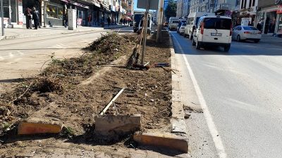 Boyabat Belediyesi, ilçemizin önemli sorunlarından biri olan orta refüjlerde aşırı