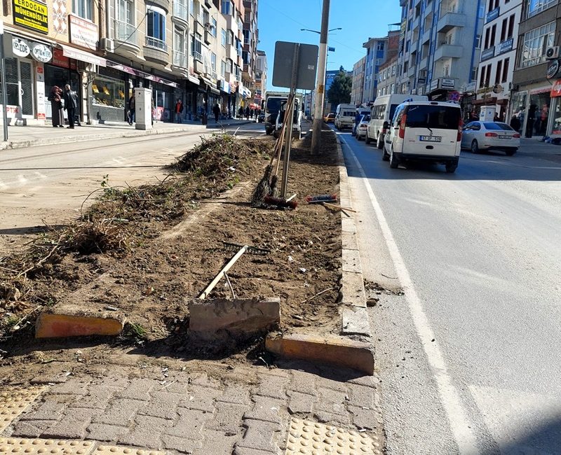 Boyabat Belediyesi, ilçemizin önemli sorunlarından biri olan orta refüjlerde aşırı