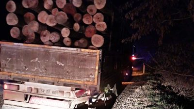 Boyabat İmam Köyü mevkiinde  tomruk yüklü tırın kopan tekerleği  üzerine