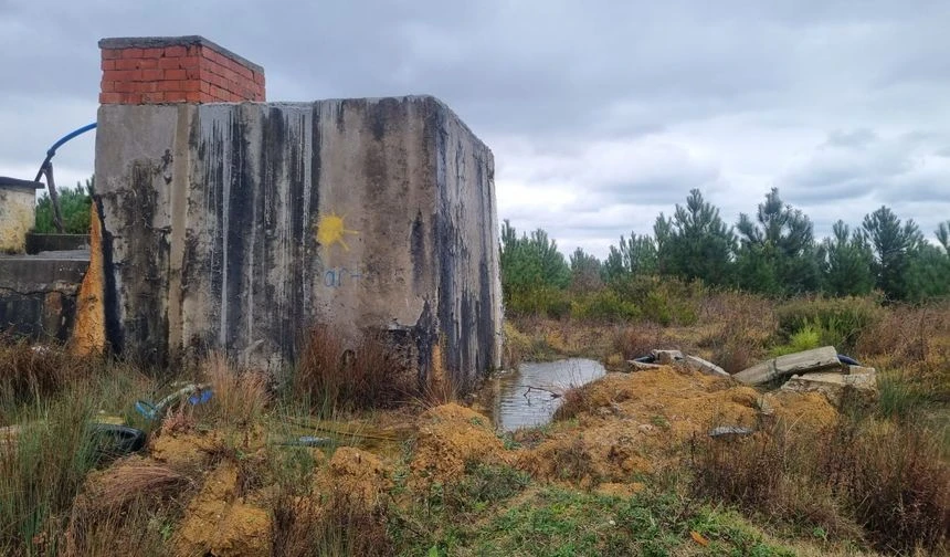 Sinop ilinin Dibekli köyünde yaşanan üzücü bir durum, su israfına