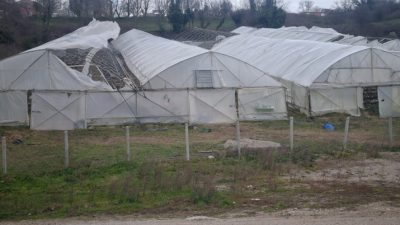 Sinop'ta yaşanan şiddetli fırtına, bölgedeki tarım üreticilerini zora soktu. Dün