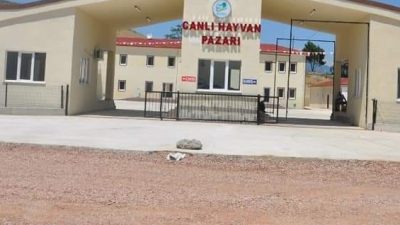 Boyabat Belediyesi'nden yapılan açıklamada, çevre ilçelerde görülen Şap hastalığı nedeniyle