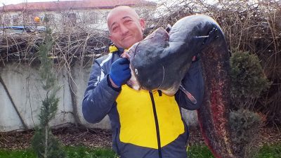 "Amatör Balıkçıdan Dev Sürpriz! Kızılırmak'ta Metrelerce Uzunluğunda Yayın Balığı Yakaladı"

Durağan'da