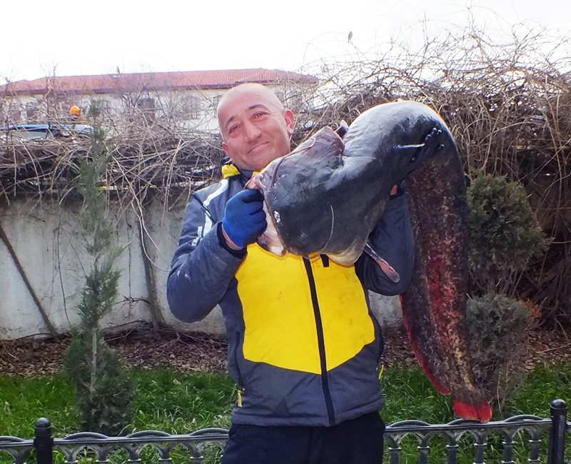 "Amatör Balıkçıdan Dev Sürpriz! Kızılırmak'ta Metrelerce Uzunluğunda Yayın Balığı Yakaladı"

Durağan'da