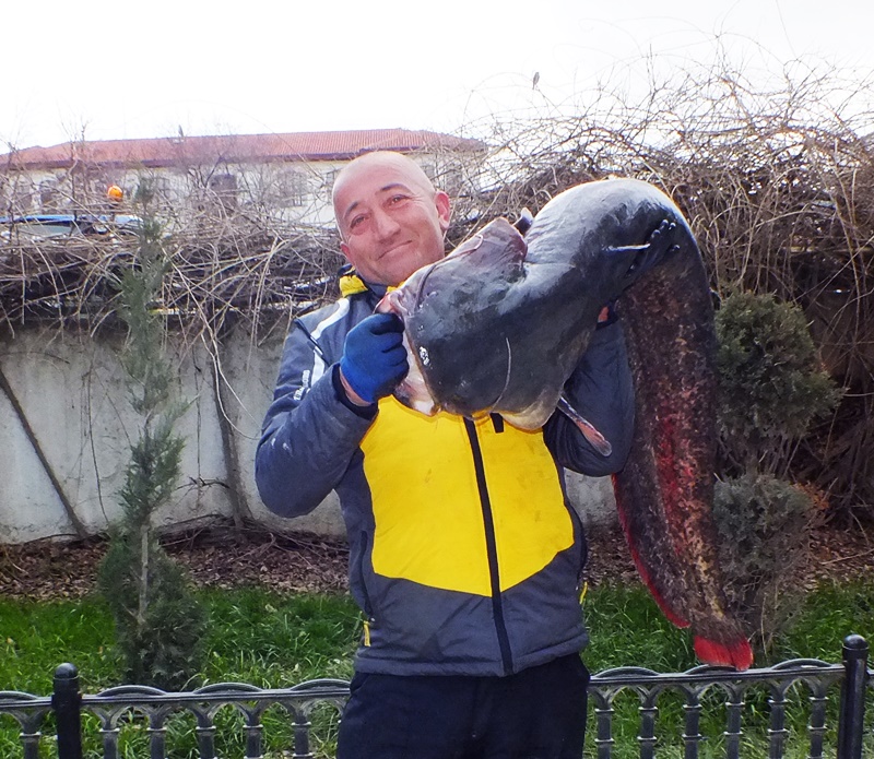 "Amatör Balıkçıdan Dev Sürpriz! Kızılırmak'ta Metrelerce Uzunluğunda Yayın Balığı Yakaladı"

Durağan'da