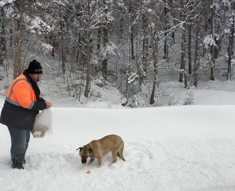 Boyabat Karayolları ekipleri, çalışma alanlarında yanlarında bulundurdukları ekmekleri kırsal bölgelerde