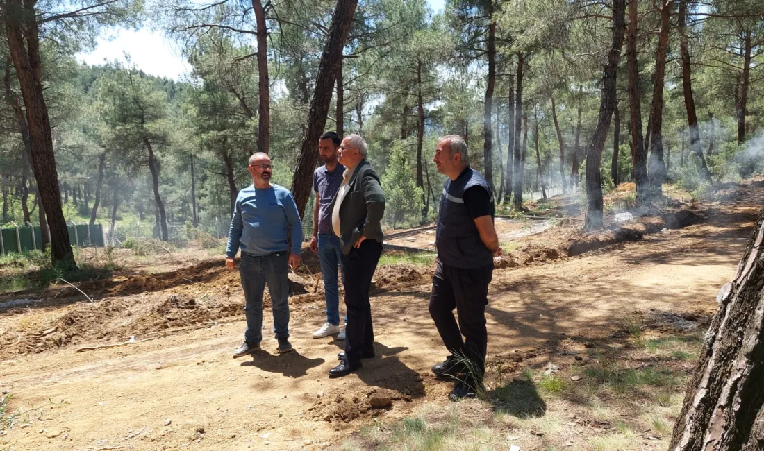 Başkan Kara'dan Sokak Hayvanlarına Kalıcı Çözüm. Boyabat Sokak Hayvanları Barınağı