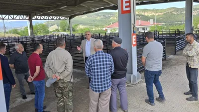 Başkan Kara, Boyabat'ta Kurban Bayramı Hazırlıklarını Yerinde İnceledi(Hayvan Pazarı)'nda yürütülen