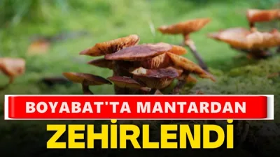 Boyabat'ta Yediği Mantardan Zehirlenen Vatandaş Acil Serviste! Baharın gelişi ve