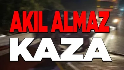 Saraydüzü'ne bağlı Başekin Köyü mevkiinde meydana gelen trajik bir olayda,