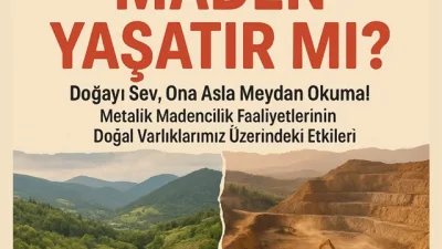 Maden Yaşatır mı? Paneli Boyabat'ta Doğayı Koru Geleceği Şekillendir! Bu