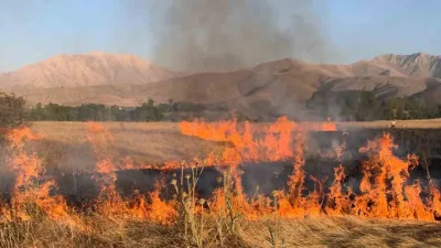 Ekipler Seferber Oldu! Boyabat'ın Akçekese Köyü mevkiinde, aşırı sıcakların etkisiyle