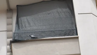Boyabat, Çamlıca Mahallesi'nde bir evin balkonunda yaklaşık 10 gündür mahsur