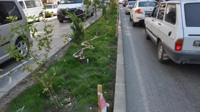 Boyabat'ta yeşil alan vandalizmi duyarsızlık yeni boyut oldu