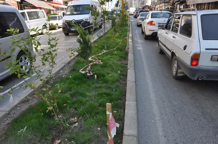 Boyabat'ta yeşil alan vandalizmi duyarsızlık yeni boyut oldu