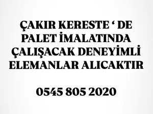 Çakır Kerestede Palet İmalatında Çalışacak Deneyimli Elemanlar Alınacaktır. Boyabat Çakır