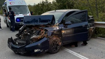 Sinop'un Tıngıroğlu köyü mevkiinde meydana gelen trafik kazasında, bir otomobilde