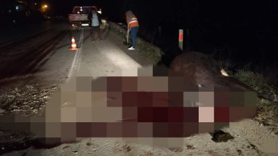 Boyabat ile Durağan ilçelerimiz arasında Sakız köyü mevkiinde  akşam saatlerinde