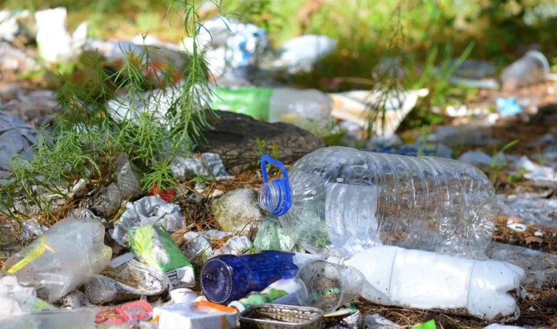 Boyabat Belediyesi, çevreyi kirletenlere karşı denetimleri artırdı. Zabıta ekipleri, düğün