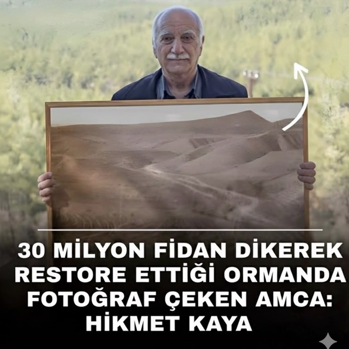 Sinop’un Boyabat ilçesinde ağaçlandırma şefi Hikmet Kaya’nın öncülüğünde çorak araziler