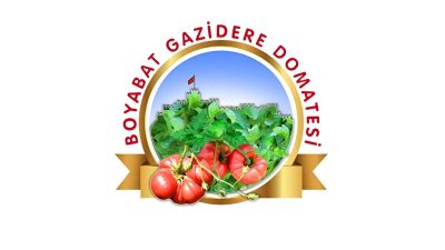 Sinop ili Boyabat ilçesine özgü Boyabat Gazidere Domatesi, 150 yıllık