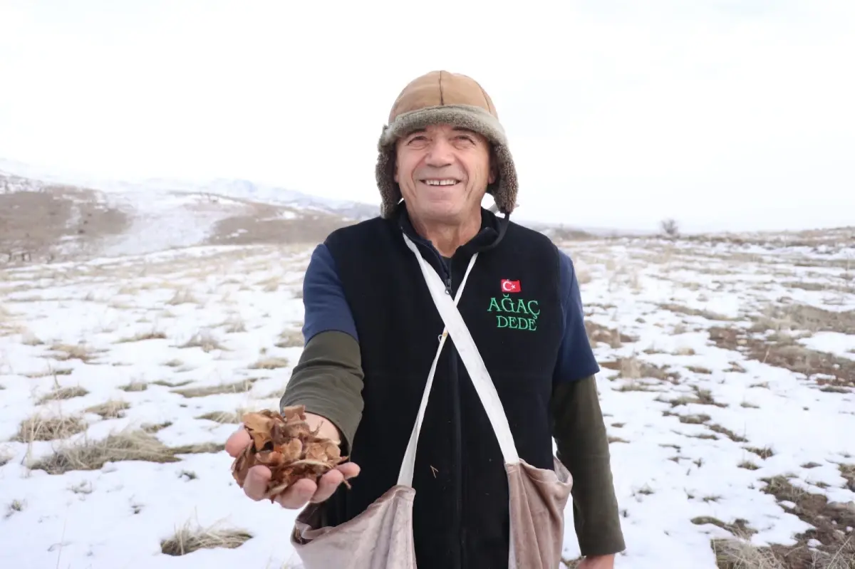 Kayseri’de “Ağaç Dede” olarak bilinen Mustafa Göçer, bugüne kadar 1,5