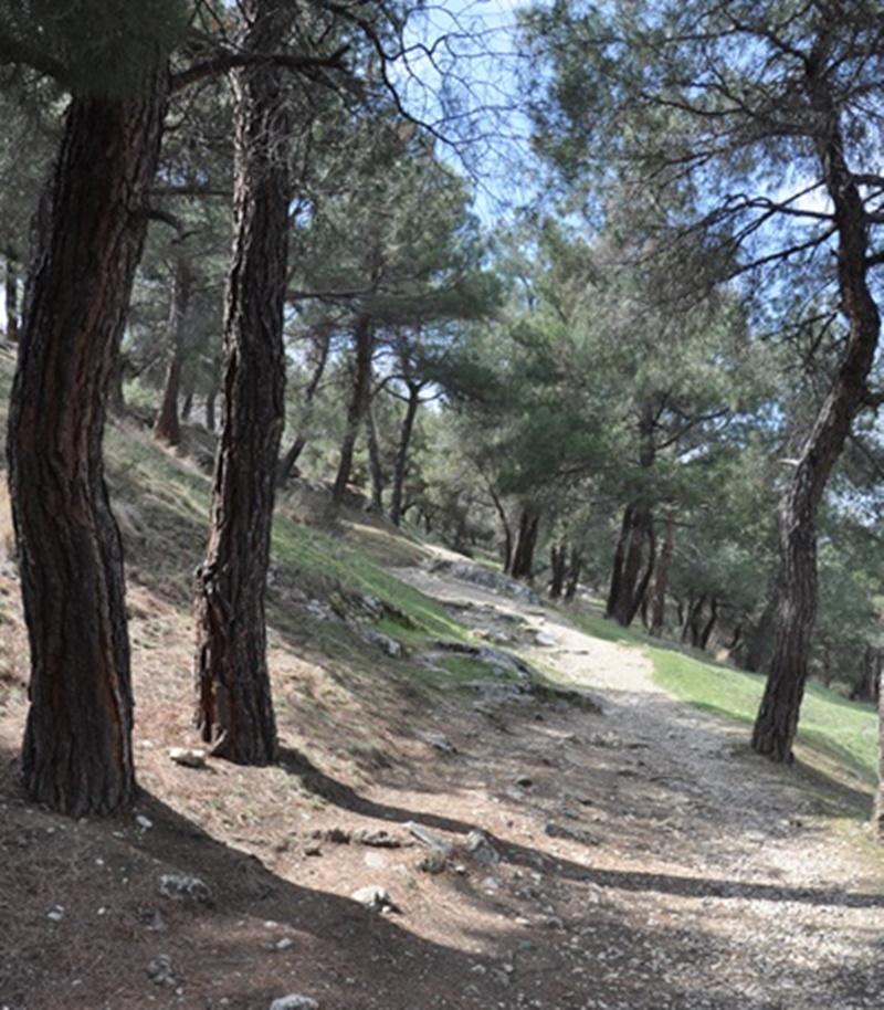 Sinop Boyabat 5.Kalesi kale gorulecek yerler tarihiDSC 6735