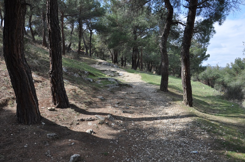 Sinop Boyabat 5.Kalesi kale gorulecek yerler tarihiDSC 6736