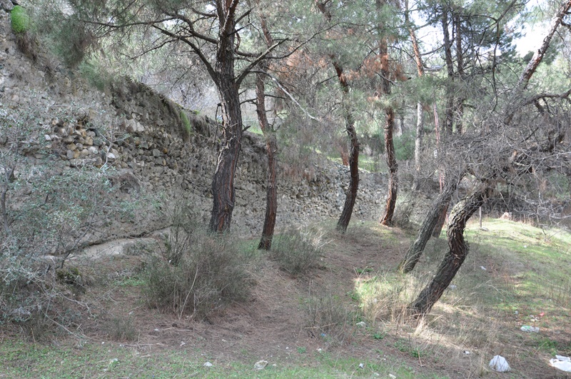 Sinop Boyabat 5.Kalesi kale gorulecek yerler tarihiDSC 6764